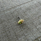 20G 1/4 Green Gem Shades of Spring Golden Nose Bone