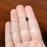 20G 5/16 Red Clear Gem Black Skull Halloween Nose Hoop