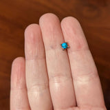 20G 1/4 Blue Turquoise Claw Hand Halloween Nose Bone