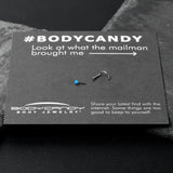 20G 1/4 Blue Synth Opal G23 Titanium Threadless Left Nose Screw