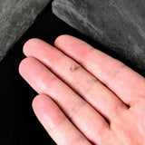 20G 1/4 Red Gem Rose Gold Tone Octogram Star Nose Bone