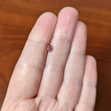 20G 7mm Pink Gem Rose Gold Tone Rococo Star L Shape Nose Ring