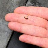 20G 1/4 Gold Tone Watermelon Bite Nose Bone