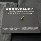 20G 1/4 Gold Tone Watermelon Bite Nose Bone