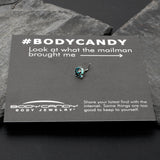 20G 1/4 Leaping Blue Dolphin L Shape Nose Ring