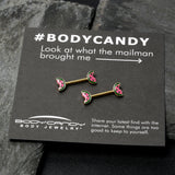 14G 9/16 Gold Tone Watermelon Bite Barbell Nipple Ring Set