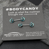 14G 9/16 Leaping Blue Dolphin Barbell Nipple Ring Set