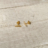 20G Gold Tone ASTM F-136 Implant Grade Titanium Fashion Feather Stud Earrings