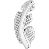 20G ASTM F-136 Implant Grade Titanium Fashion Feathers Stud Earrings