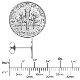 20G ASTM F-136 Implant Grade Titanium Fashion Feathers Stud Earrings