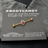 14G Clear Pink Gem Gold Tone Open Eye Industrial Barbell 38mm