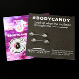 14G 9/16 Purple Gem Bee Beautiful Insect Barbell Nipple Ring Set