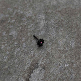 20G 1/4 Pink Gem Black Starry Flower Halloween Nose Bone