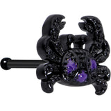 20G 1/4 Purple Gem Black Chic Crab Nose Bone
