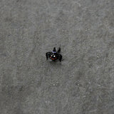20G 1/4 Black Halloween Witchy Smiling Spider Nose Bone