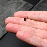 20G 1/4 Black Texture Pot Leaf L Shape Nose Ring