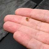 20G 1/4 Gold Tone Texture Pot Leaf L Shape Nose Ring