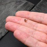 20G 1/4 Rose Gold Tone Texture Pot Leaf L Shape Nose Ring