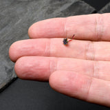 20G 1/4 Rainbow Anodized Texture Pot Leaf L Shape Nose Ring