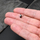 20G 1/4 Aurora CZ Gem Fleur de Lis Butterfly Black Nose Bone