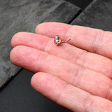 20G 7mm Aurora CZ Gem Fleur de Lis Rosy Butterfly L Shape Nose Ring