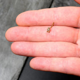 20G 7mm Clear Gem Gold Tone Luscious Lizard L Shape Nose Ring