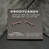 14G 9/16 Sweet Happy Heart Lollipop Barbell Nipple Ring Set