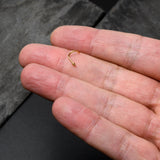 20G 1/4 Gold Hue ASTM F-136 Implant Grade Titanium Cone End Left Side Nose Screw