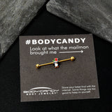 14G Gold Tone Holly Hat Penguin Holiday Industrial Barbell 38mm