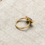 20G 5/16 Gold Tone Holly Hat Penguin Holiday Nose Hoop