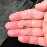 20G 5/16 Gold Tone Holly Hat Penguin Holiday Nose Hoop