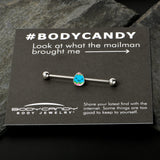 14G Blue Celebration Easter Egg Industrial Barbell 38mm