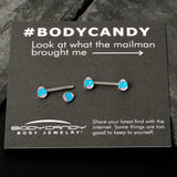 14G 9/16  Blue Pink Celebration Easter Egg Barbell Nipple Ring Set