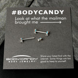 14G 9/16 Easter Bunny Blue Red Ears Barbell Nipple Ring Set