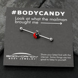 14G Clear Gem Ladybug Yin Yang Industrial Barbell 38mm