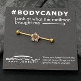 14G Clear Pink Gem Gold Tone Texture Star Industrial Barbell 38mm