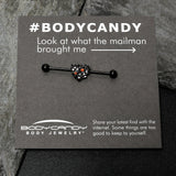 14G Clear Red CZ Gem Black Heart Floral Industrial Barbell 38mm