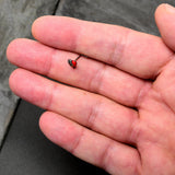 20G 7mm Clear Gem Bleeding Heart L Shape Nose Ring