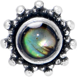 20G 7mm Brown Faux Shell Circle of Glam L Shape Nose Ring