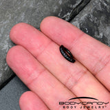 14G 3/8  Black Implant Grade Titanium CZ Paved Hinged Hoop Belly Ring