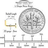 20G 1/4 Gold Tone ASTM F-136 Implant Grade Titanium Star End L Shape Nose Ring