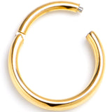 20G 1/4 Gold PVD 316L Surgical Steel Double Precision Hinged Segment Ring