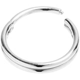 20G 5/16 316L Surgical Steel Double Precision Hinged Segment Ring