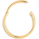 20G 3/8 Gold PVD 316L Surgical Steel Double Precision Hinged Segment Ring