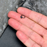 20G 5/16 Clear CZ Gem Black Lush Leaves Nose Hoop