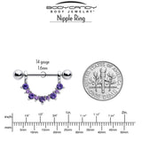 14G 9/16 Purple CZ Gem February Birthstone Dangle Nipple Shield Set
