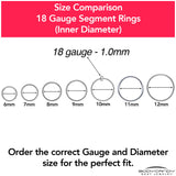 18G 7/16 316L Surgical Steel Precision Hinged Segment Hoop