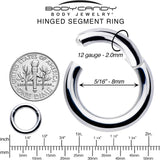 12G 5/16 316L Surgical Steel Precision Hinged Segment Hoop