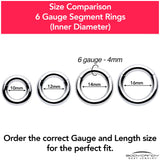 6G 1/2 316L Surgical Steel Precision Hinged Segment Hoop