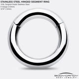 6G 9/16 316L Surgical Steel Precision Hinged Segment Hoop